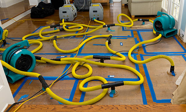 Professional Water Damage Repair technician working in Solon Springs, WI